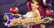 Wild Witches kostenlos spielen (CasinoEuro)